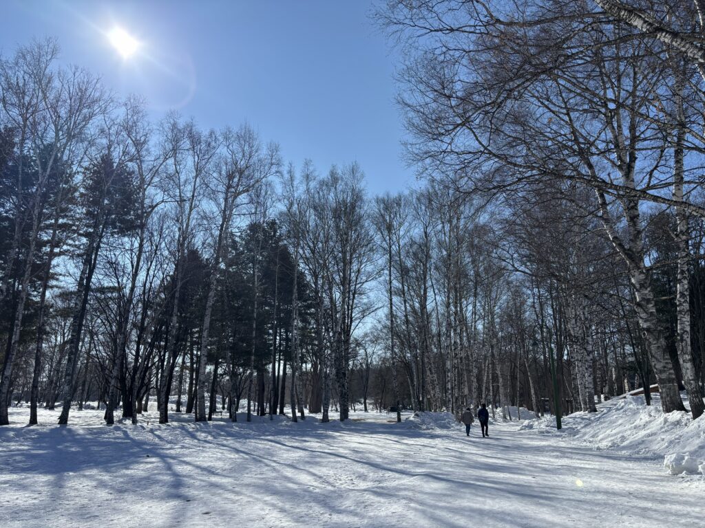 しらかばたちの径